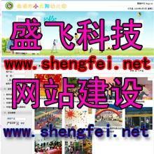 鄭州盛飛科技公司 專業(yè)網(wǎng)站建設，以視覺之美賦能品牌形象